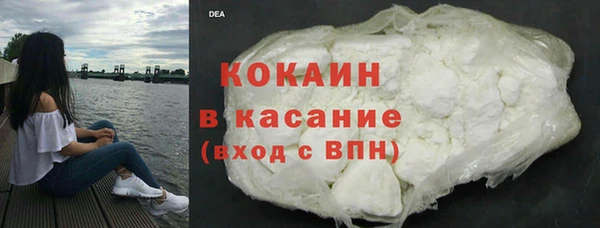гашик Пересвет