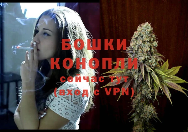 дживик Верея