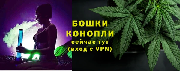 прущие грибы Верхнеуральск