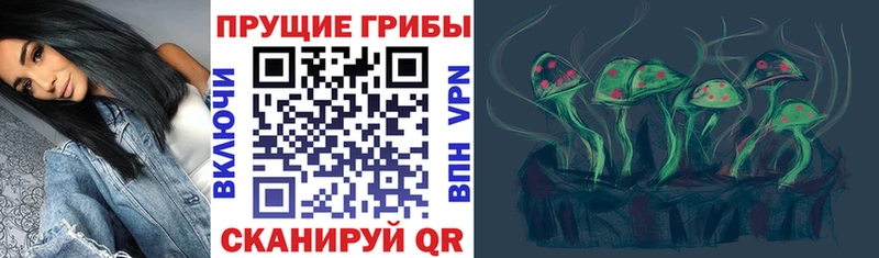 Псилоцибиновые грибы Magic Shrooms  Орехово-Зуево 